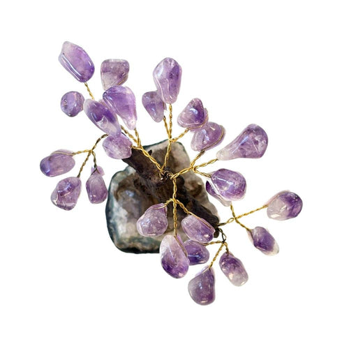 Amethyst Feng Shui Money Tree
