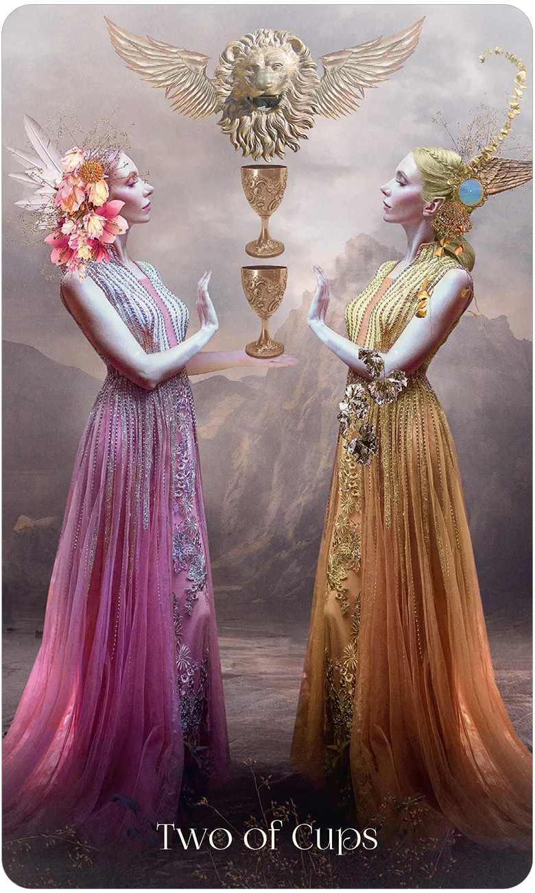 When Women had Wings Tarot Deck