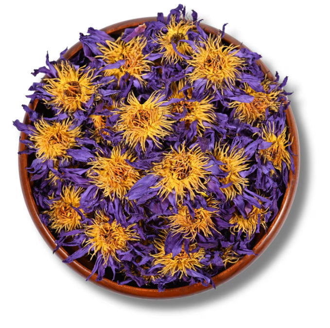 Pre-Pack Blue Lotus Flower