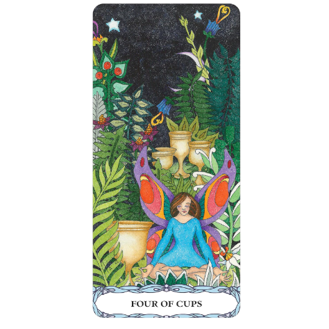 Tarot of a Moon Garden Borderless Deck and Book Set