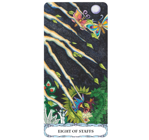 Tarot of a Moon Garden Borderless Deck and Book Set