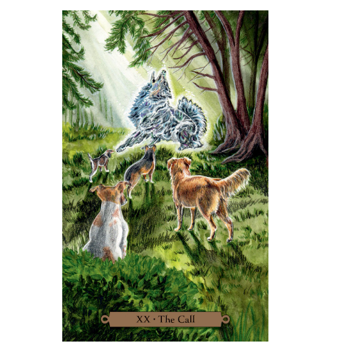 Magical Dogs Tarot by Mickie Mueller