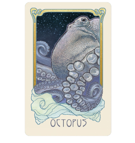 Dreamscape Oracle by Matt Hughes
