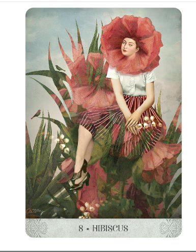 Botanical Dreams Oracle