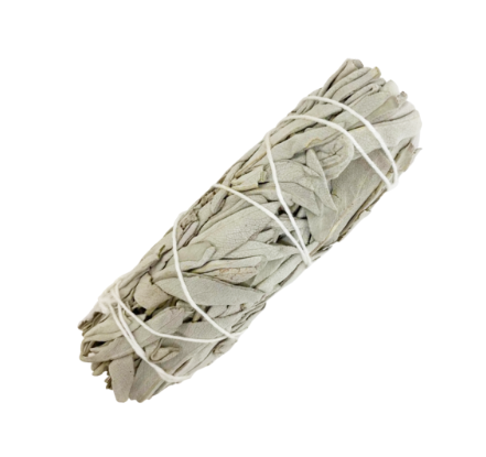 4" Sage - Various
