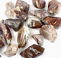 Tumbled Amphibole
