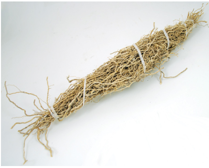 Patchouli Root Bundle