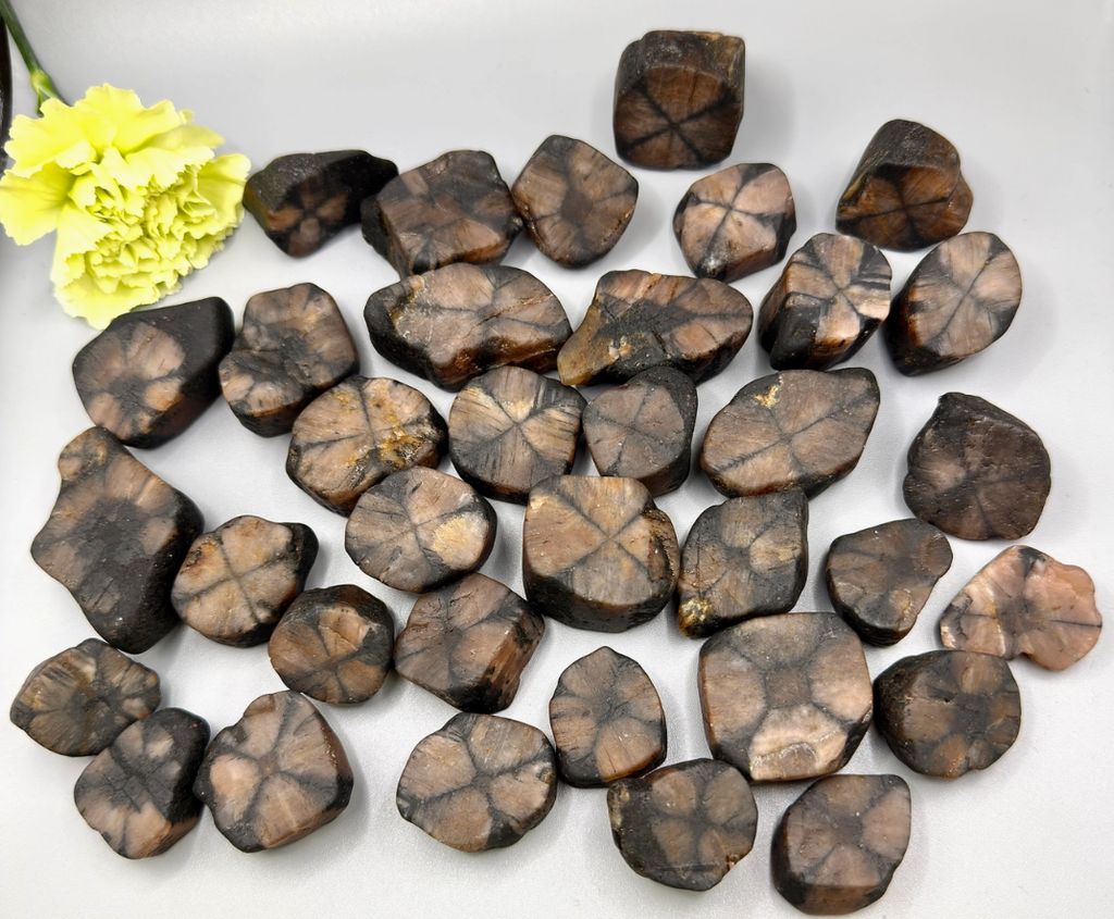 Raw Chiastolite