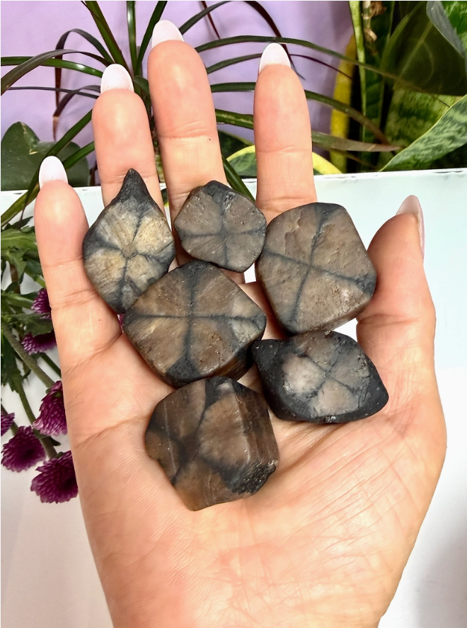 Raw Chiastolite