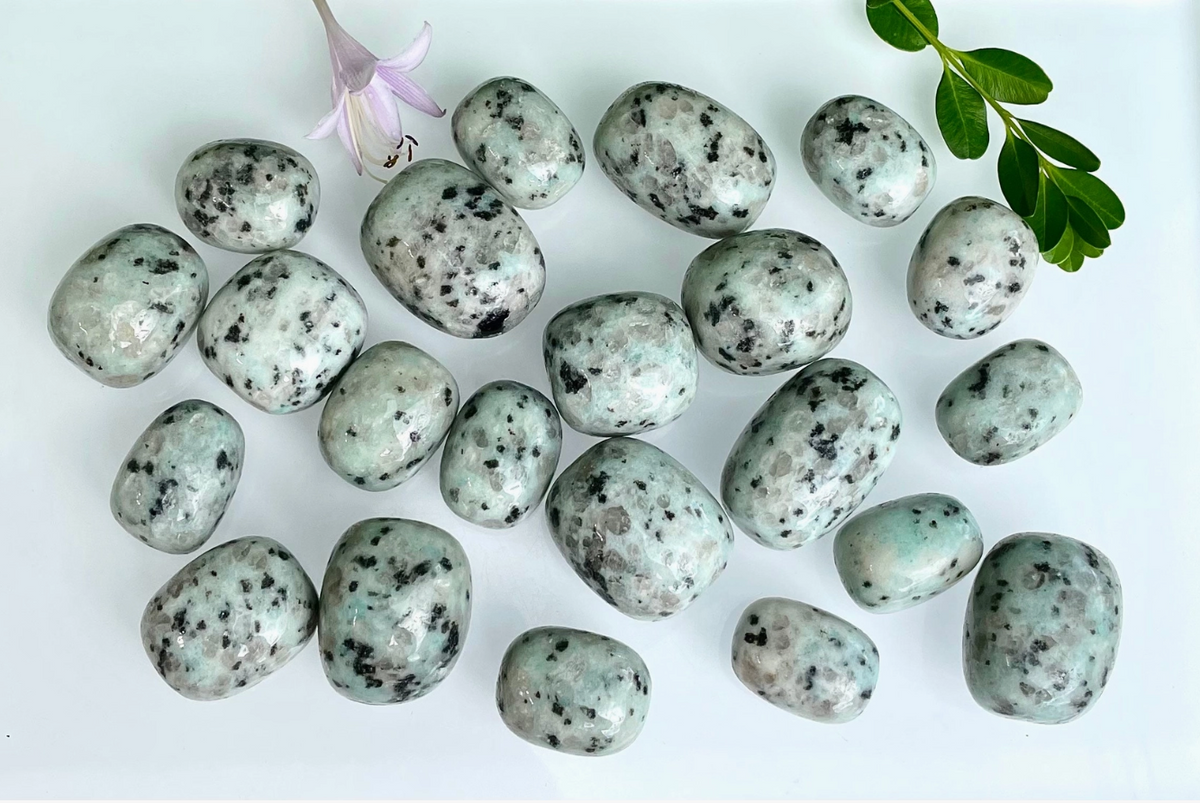 Kiwi Jasper Tumbled