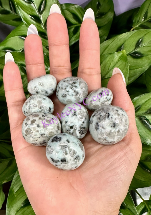 Kiwi Jasper Tumbled