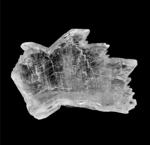 Fish Scale Selenite