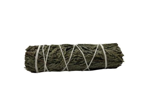 4" Sage - Various