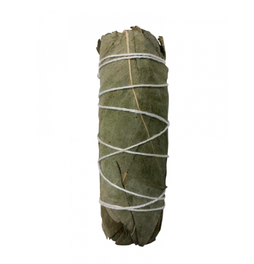 4" Sage - Various