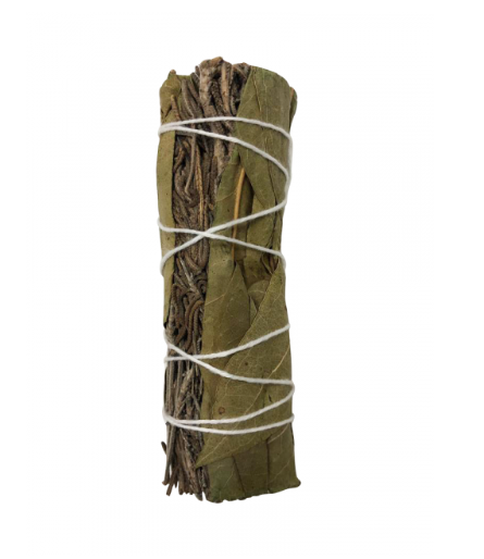 4" Sage - Various