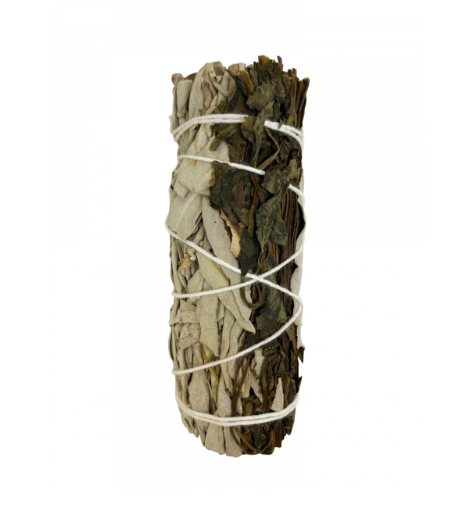 4" Sage - Various