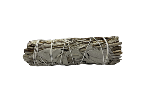 4" Sage - Various