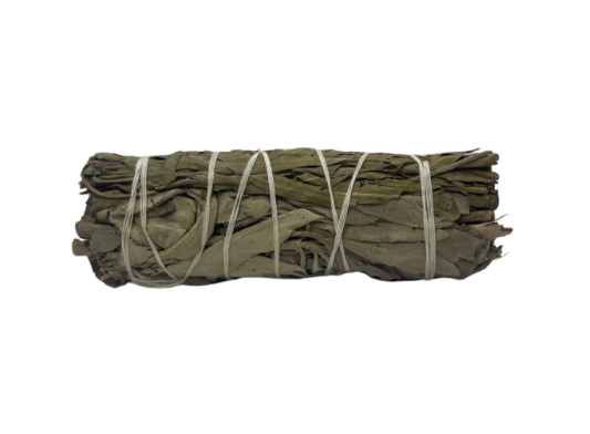 4" Sage - Various