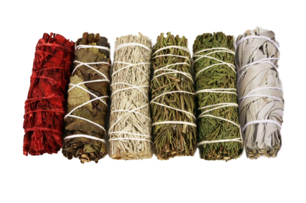 4" Sage - Various