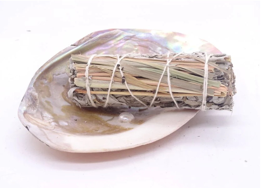 4" Sage - Various
