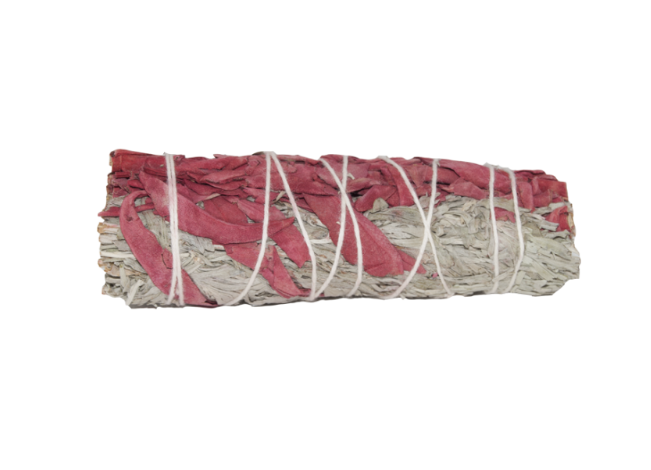 4" Sage - Various