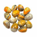 Bumblebee Jasper Tumbled