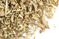 Pre-Pack Pennyroyal