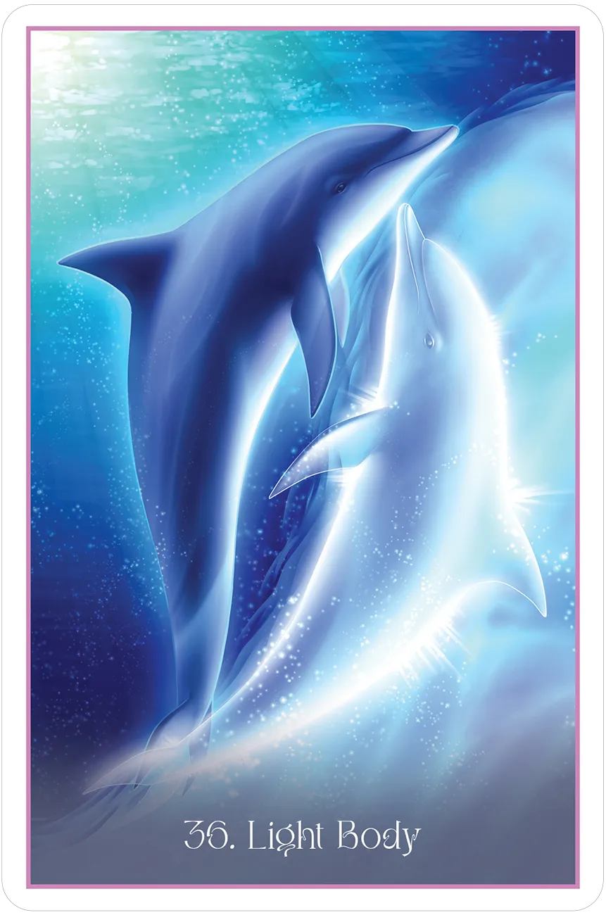 Whispers Of The Dolphin Heart Oracle