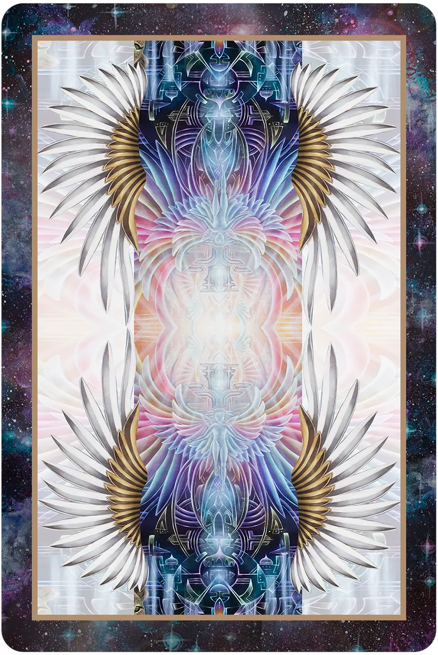 The Light Code Apothecary