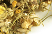 Pre-Pack Chamomile