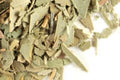 Pre-Pack Eucalyptus