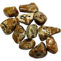 Garnet in Limestone tumbled