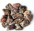 Leopardskin Jasper Tumbled