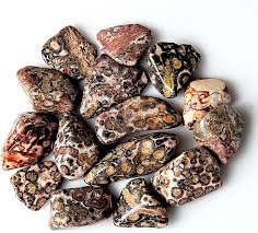 Leopardskin Jasper Tumbled