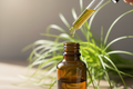 oil dropper dripping essential oil in amber colored bottle with vertiver in the background