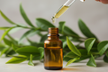 oil dropper dripping essential oils into an amber colored bottle with tea tree in the background