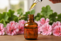 oil dropper dropping essential oil in an amber colored bottle with rose geranium in the background