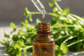 oil dropper dropping essential oil into an amber colored bottle with pennyroyal in the background