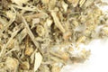 Pre-Pack Wormwood