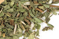 Pre-Pack Spearmint