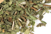 Pre-Pack Spearmint