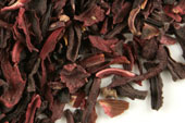 Pre-Pack Hibiscus