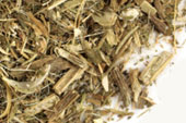 Pre-packed Blessed Thistle