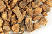 Pre-Pack Dandelion Root