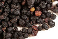 Pre-Pack Elderberry