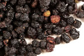 Pre-Pack Elderberry