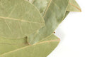 Pre-Pack Bay Leaf