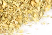 Pre-Pack Yarrow Flower