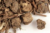 Pre-Pack Valerian Root