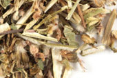 Pre-Pack Motherwort
